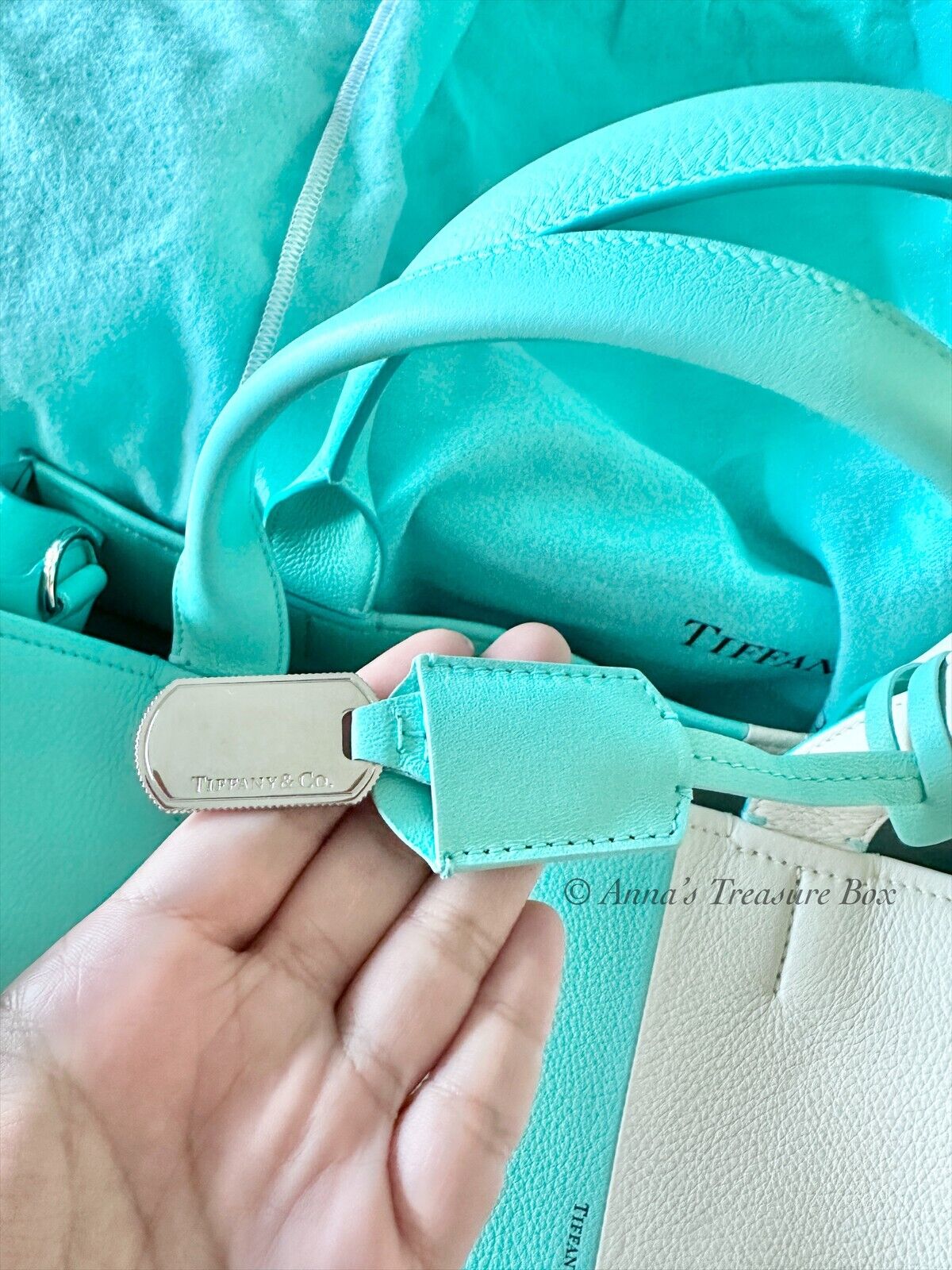 Tiffany & Co.'s New Leather Bags Look Exactly Like Its Shopping Bags So  Every Day Feels Like Christmas - ZULA.sg