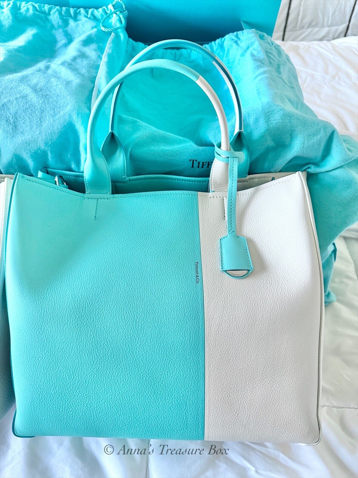 Tiffany & Co. XL Color Block Tote Crossbody Leather Bag (Box, Pouch, R –  Anna's Treasure Box LLC